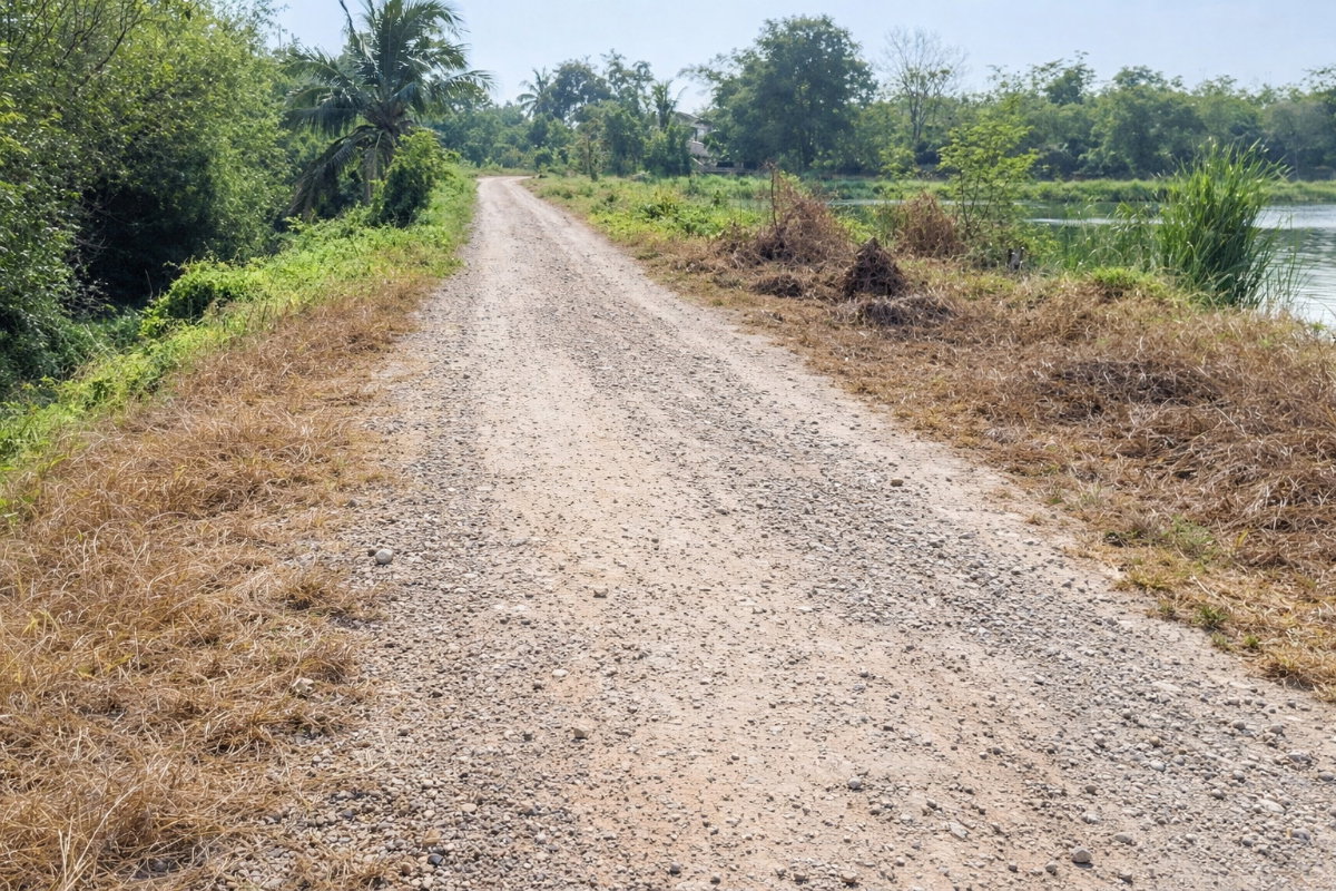 รูป ขายที่ดินแปลงเดียว 2 โฉนด 250 ไร่ หนองหมู วิหารแดง สระบุรี เหมาะทำเกษตรและลงทุน - รูปที่ 7/8
