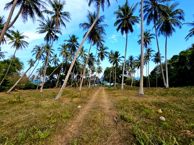 ที่ดิน บางสะพาน ประจวบคีรีขันธ์ : ขายที่ดิน ซอยทุ่งนุ่นล่าง บางสะพาน แปลงใหญ่ ใกล้หาดสวนหลวง เหมาะทำธุรกิจ ขนาด  11-1-90 ไร่