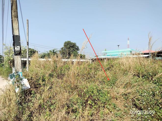 picture LAND for sale Sai Khao Phan Chiang Rai - 2/18