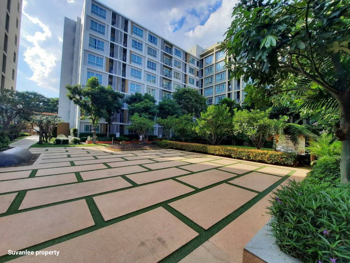 รูป ขายดีคอนโดซายน์ เชียงใหม่ ราคาดี 1.95 ล้านบาท - รูปที่ 10/12