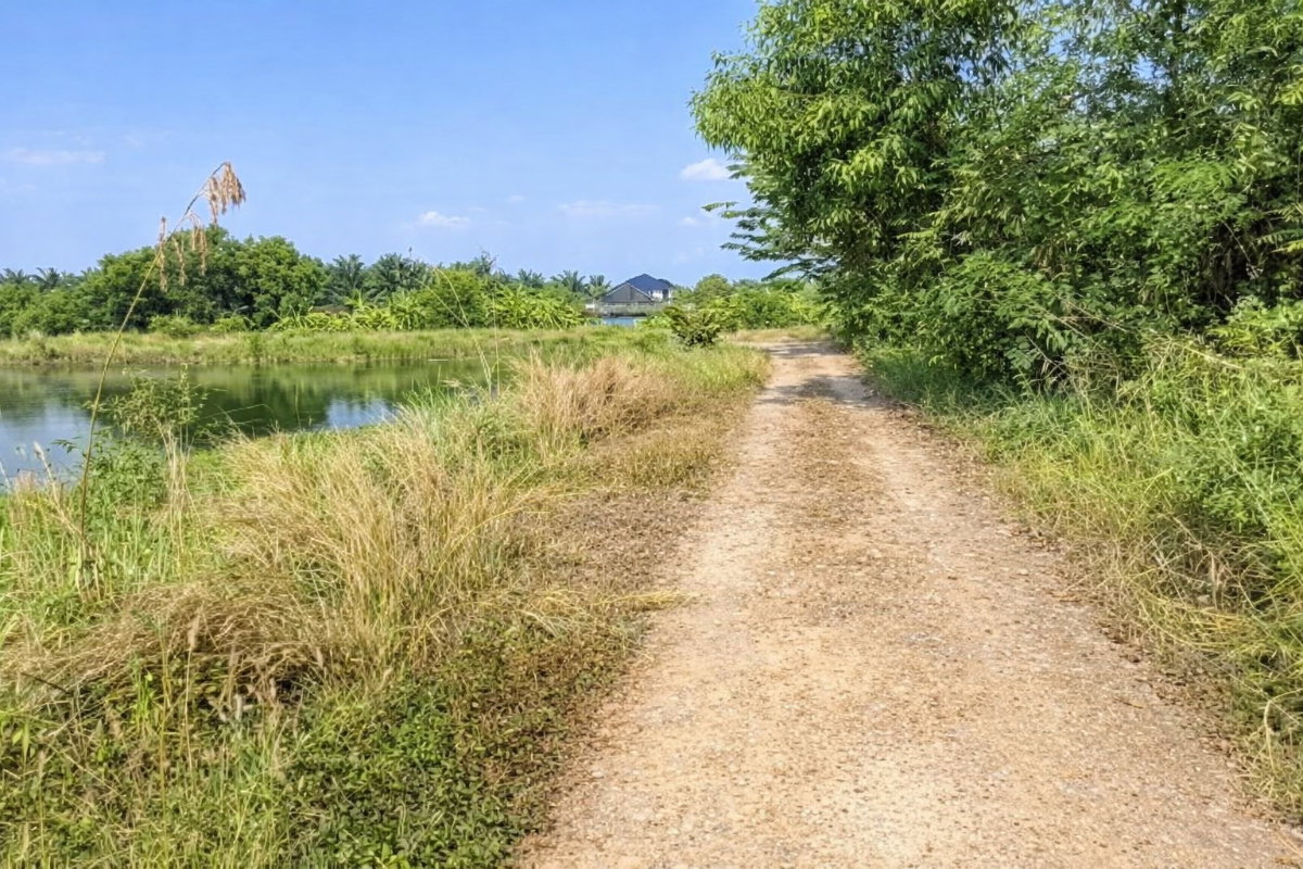 รูป ขายที่ดินแปลงเดียว 2 โฉนด 250 ไร่ หนองหมู วิหารแดง สระบุรี เหมาะทำเกษตรและลงทุน - รูปที่ 5/8