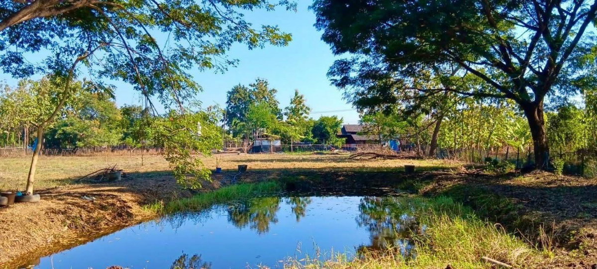 รูป ขายที่ดินเปล่า จังหวัดเชียงใหม่ ติดถนนวงแหวนรอบ 4 - รูปที่ 8/8