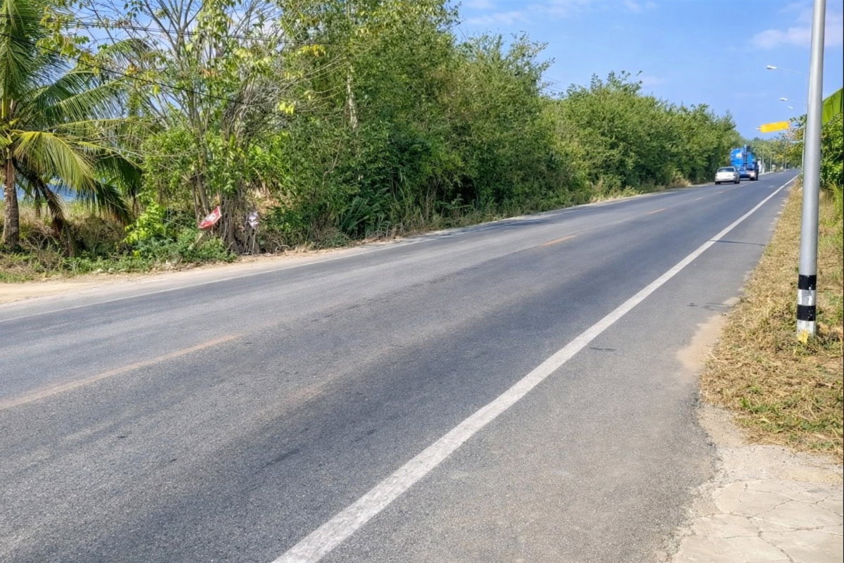 รูป ขายที่ดินแปลงเดียว 2 โฉนด 250 ไร่ หนองหมู วิหารแดง สระบุรี เหมาะทำเกษตรและลงทุน - รูปที่ 8/8