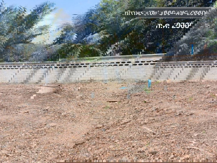 รูป 📍 ที่ดิน 2 ไร่ ให้เช่า ติดถนนมาลัยแมน ถมดิน + ล้อมรั้วแล้ว 🔥 สนใจทักเลย! 🔥 - รูปที่ 9/12