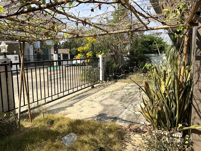 picture HOME for sale Don Khoi Kamphaeng Saen Nakhon Pathom - 12/32