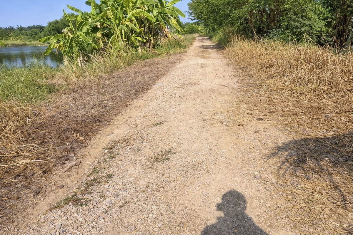 รูป ขายที่ดินแปลงเดียว 2 โฉนด 250 ไร่ หนองหมู วิหารแดง สระบุรี เหมาะทำเกษตรและลงทุน - รูปที่ 4/8