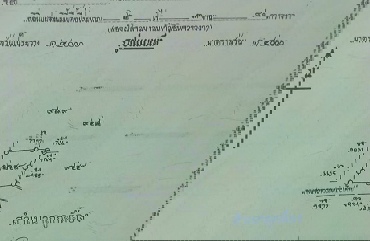 รูป ที่ดินผืนใหญ่ บ้านและสวน อ.ปัว จ.น่าน - รูปที่ 9/9