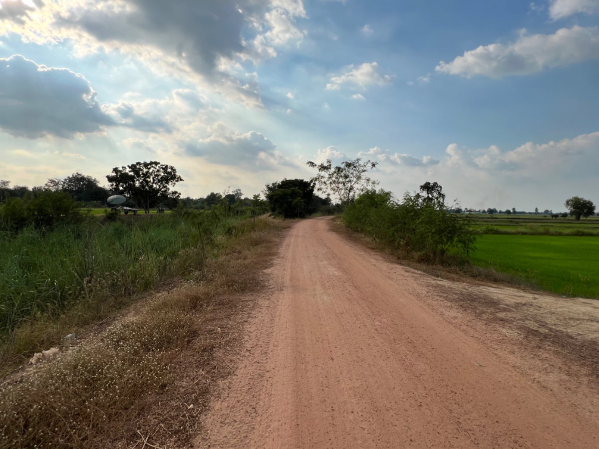 รูป ขายที่นา 40 ไร่ 2 งาน หลังวัดหนองหญ้าปล้อง ด้านหน้าติดถนนลูกรังและคลองส่งน้ำ - รูปที่ 4/6