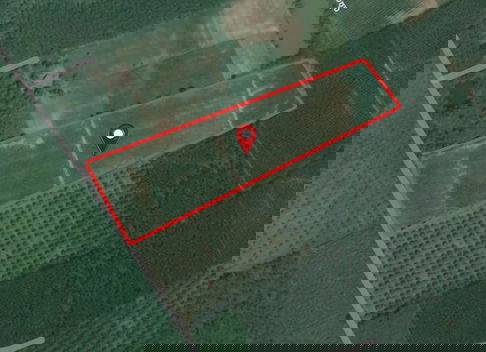 Land for Sale – Peaceful Rural Community, Bo Thong District, Chonburi