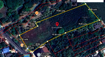 ที่ดิน สมุทรสงคราม : ขายที่ดินติดแม่น้ำแม่กลอง อำเภอบางคนที จังหวัดสมุทรสงคราม  (แปลงสวยฮวงจุ้ยแอ่งท้องมังกร จากซินแสจีนตระกูลเจ้าของที่ที่ทำธุรกิจระดับ TOP 10 ของประเทศ) 