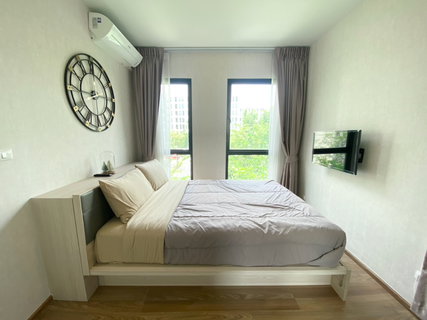 รูปภาพ P-124236 Stunning Garden View! Unio Sukhumvit 72, 5 mins to BTS Bearing! 16,000 THB | Line Id: @easycondoplus | 099-229-6397