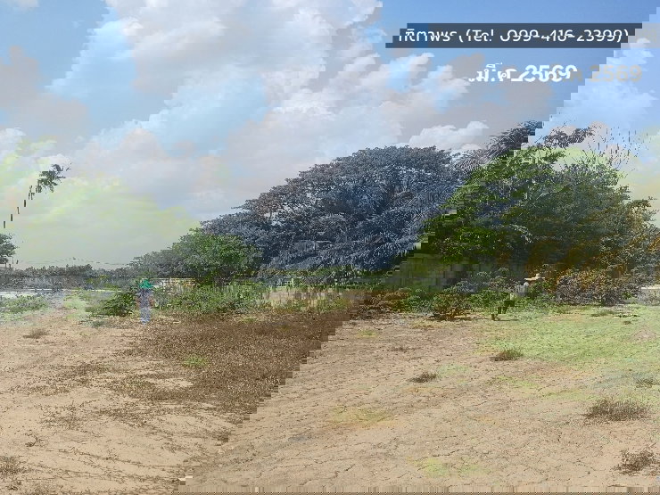 รูป 📍 ที่ดิน 2 ไร่ ให้เช่า ติดถนนมาลัยแมน ถมดิน + ล้อมรั้วแล้ว 🔥 สนใจทักเลย! 🔥 - รูปที่ 3/12