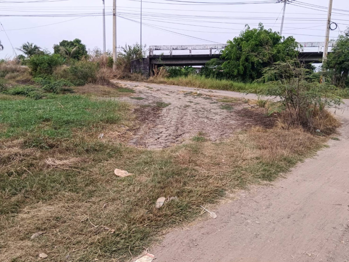 รูป ขายที่ดินเปล่าในอำเภอบางน้ำเปรี้ยว จังหวัดฉะเชิงเทรา - รูปที่ 6/11