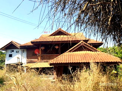 บ้านเดี่ยว ลำปาง : บ้านเดี่ยว สำหรับขาย - วังทอง วังเหนือ ลำปาง