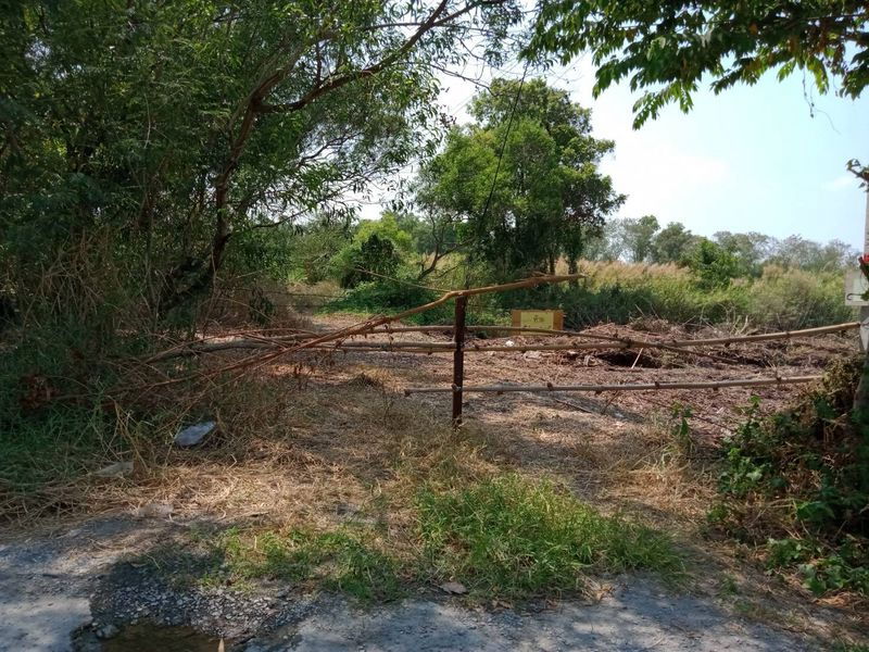 รูป ขายถูกที่สุดในย่านนี้ ที่ดินถนนรามอินทราซอย5 เนื้อที่ 218 ตรว. ขายวาละ 25,000 บาท บางเขน กรุงเทพฯ - รูปที่ 14/20