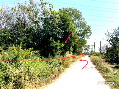 ที่ดินว่างเปล่า 5279 ตร.วา เมืองพิษณุโลก พิษณุโลก 1.7M
