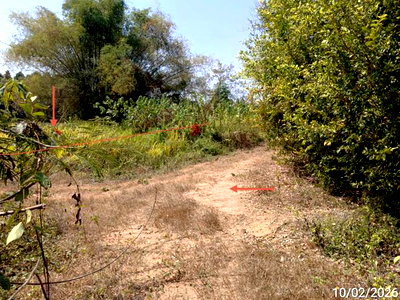 LAND 1849 Sq.w. Muang Phichit Phichit for 925,000