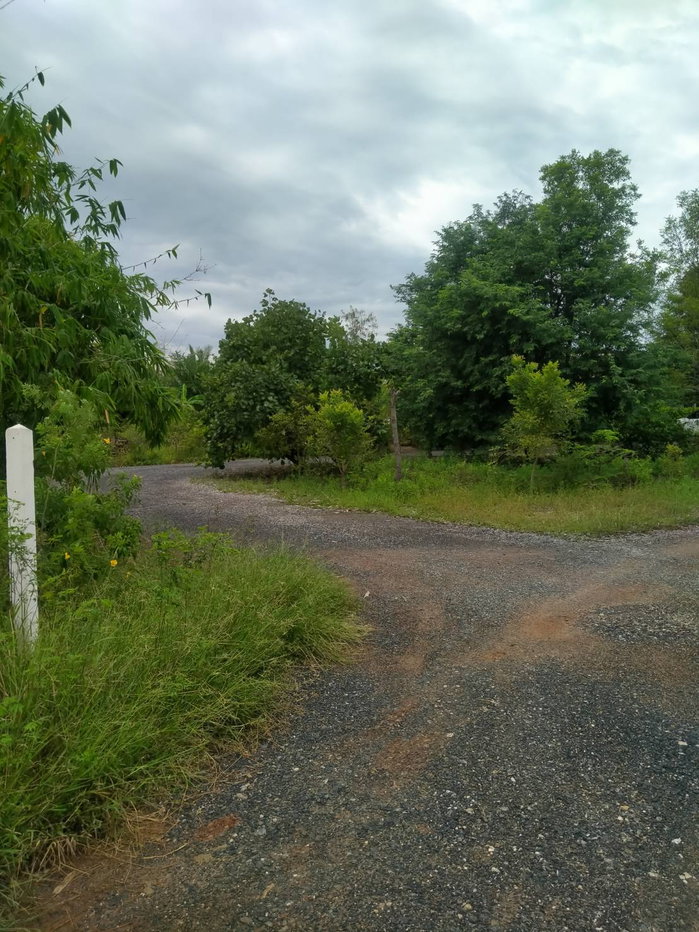 รูป ขายด่วน บ้านชั้นเดียว ทำเลดี 4 นอน 4 น้ำ 2 รับแขก 5 จอด เนื้อที่ 3 ไร่ 10 ตร.ว. อ.ด่านขุนทด นครราชสีมา - รูปที่ 23/49