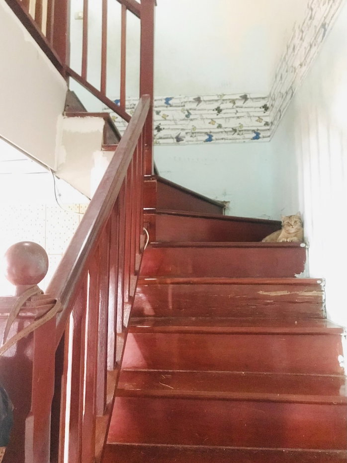 รูป ขายทาวน์โฮม 2 ชั้น 37.30 ตารางวา The Connect 2 บางนา กม.10-สุวรรณภูมิ ใกล้เมกาบางนา - รูปที่ 10/13