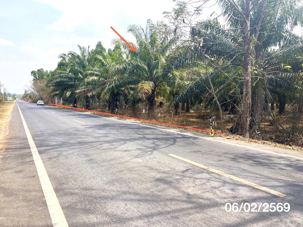 รูป ที่ดินว่างเปล่า 8893 ตร.วา น้ำยืน อุบลราชธานี 5.8M - รูปที่ 9/18