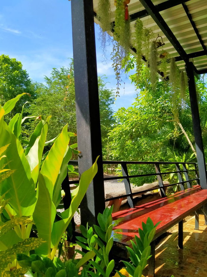 รูป ขายด่วน บ้านชั้นเดียว ทำเลดี 4 นอน 4 น้ำ 2 รับแขก 5 จอด เนื้อที่ 3 ไร่ 10 ตร.ว. อ.ด่านขุนทด นครราชสีมา - รูปที่ 11/49