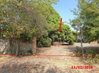 listing thumbnail image 31