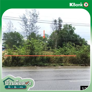 รูป ที่ดินว่างเปล่า สำหรับขาย - ครน สวี ชุมพร - รูปที่ 20/22