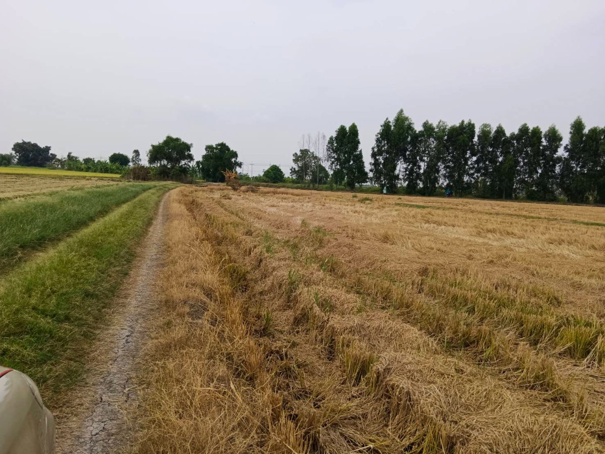 รูป ขายที่ดินเปล่าในอำเภอบางน้ำเปรี้ยว จังหวัดฉะเชิงเทรา - รูปที่ 4/11