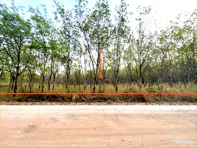 ที่ดินว่างเปล่า 16300 ตร.วา ศรีบุญเรือง หนองบัวลำภู 4.9M