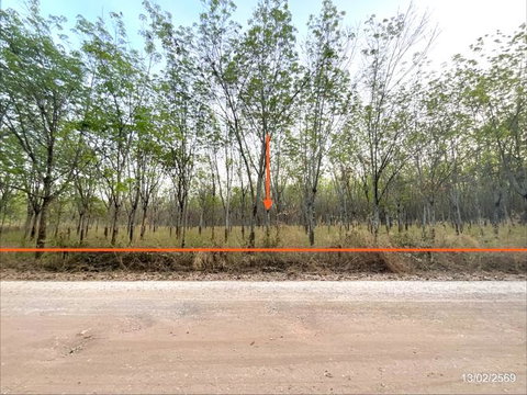 ที่ดินว่างเปล่า สำหรับขาย - โนนสะอาด ศรีบุญเรือง หนองบัวลำภู