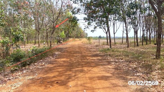 รูป ที่ดินว่างเปล่า 8893 ตร.วา น้ำยืน อุบลราชธานี 5.8M - รูปที่ 4/18