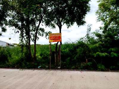 ที่ดิน เขตหนองจอก : ขายที่ดินติดถนนตแสนเกษม เขตหนองจอก