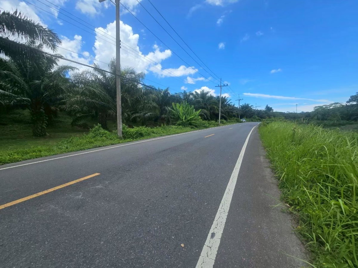 รูป ที่ดินสวนสัปปะรด ท่าอยู่ พังงา - รูปที่ 10/13