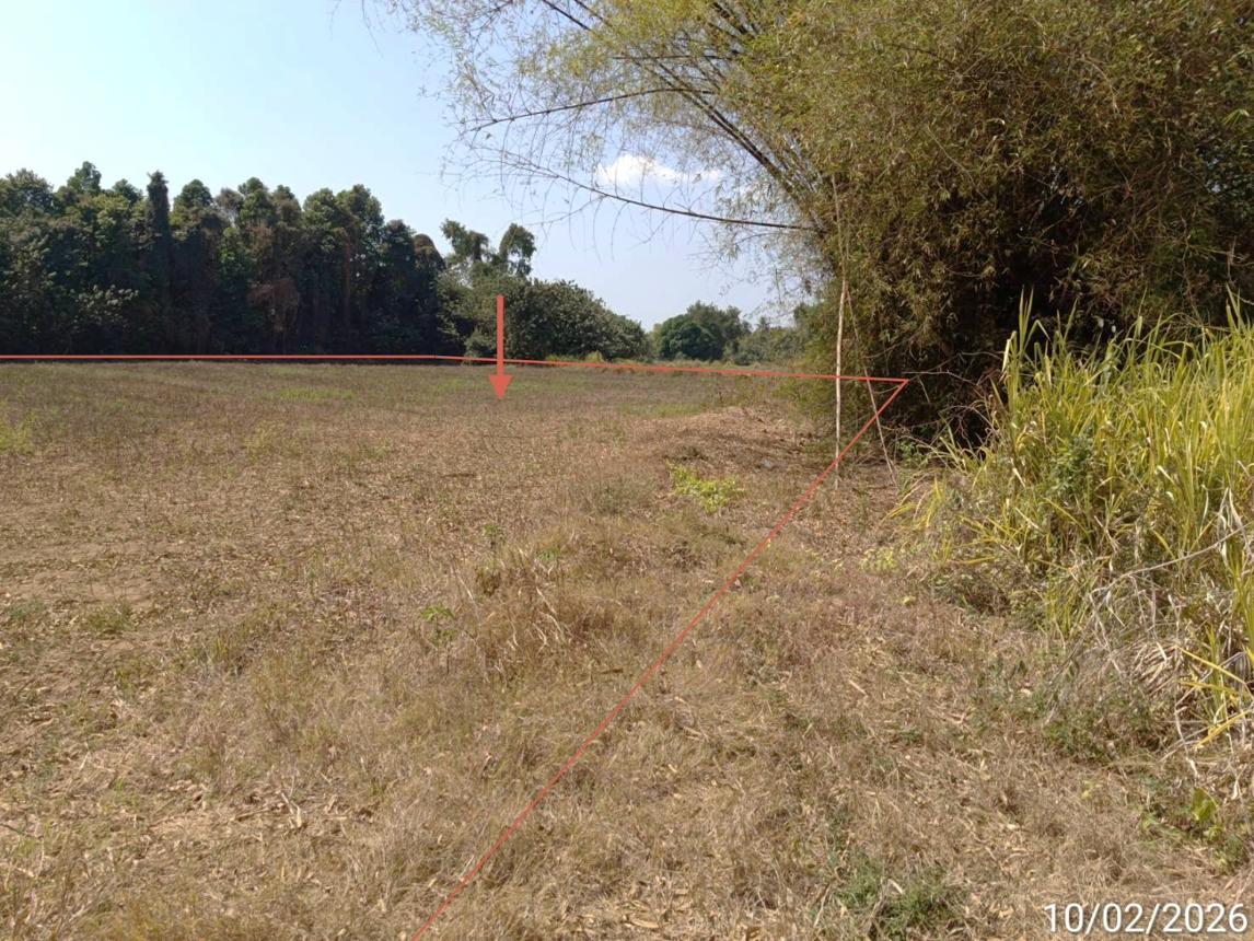 รูป ที่ดินว่างเปล่า สำหรับขาย - ดงป่าคำ เมืองพิจิตร พิจิตร - รูปที่ 9/14