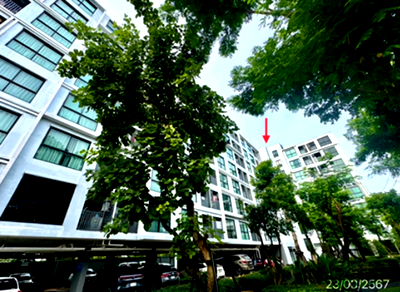 ขายคอนโด : คอนโดมิเนียม 1 ห้องนอน, 27.9 ตารางเมตร คอนโดมิเนียม สำหรับขาย ดิ เอ็กเซล คูคต คูคต ลำลูกกา ปทุมธานี