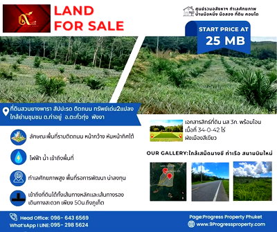 Land for sale Takua Thung Phangnga : Land for Sale  Tayoo Phang Nga