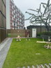 listing thumbnail image 10