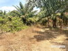listing thumbnail image 6