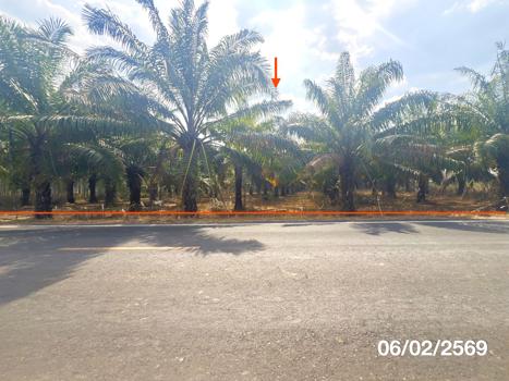 รูป ที่ดินว่างเปล่า 8893 ตร.วา น้ำยืน อุบลราชธานี 5.8M - รูปที่ 15/18