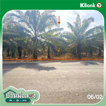 รูป ที่ดินว่างเปล่า 8893 ตร.วา น้ำยืน อุบลราชธานี 5.8M - รูปที่ 16/18