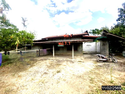 บ้านเดี่ยว วังสะพุง เลย : บ้านเดี่ยว 144.6 ตร.วา วังสะพุง เลย 1M