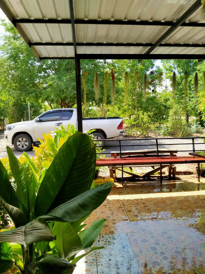 รูป ขายด่วน บ้านชั้นเดียว ทำเลดี 4 นอน 4 น้ำ 2 รับแขก 5 จอด เนื้อที่ 3 ไร่ 10 ตร.ว. อ.ด่านขุนทด นครราชสีมา - รูปที่ 7/49