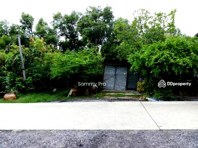 ที่ดิน สถาบันการแพทย์จักรีนฤบดินทร์ : ขายที่ดินเปล่า  ต.คลองด่าน อ.บางบ่อ จ. สมุทรปราการ