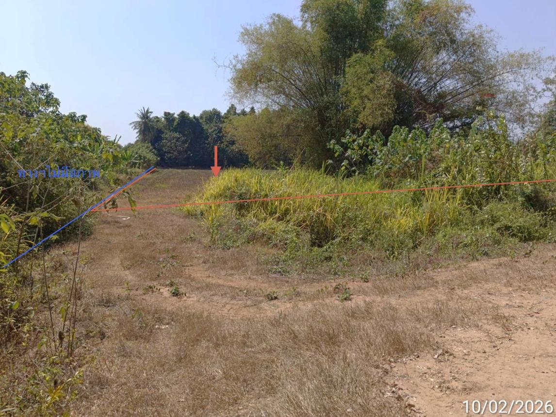 รูป ที่ดินว่างเปล่า สำหรับขาย - ดงป่าคำ เมืองพิจิตร พิจิตร - รูปที่ 7/14
