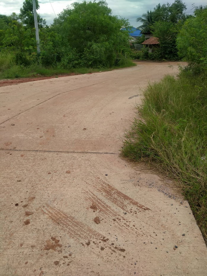 รูป ขายด่วน บ้านชั้นเดียว ทำเลดี 4 นอน 4 น้ำ 2 รับแขก 5 จอด เนื้อที่ 3 ไร่ 10 ตร.ว. อ.ด่านขุนทด นครราชสีมา - รูปที่ 25/49