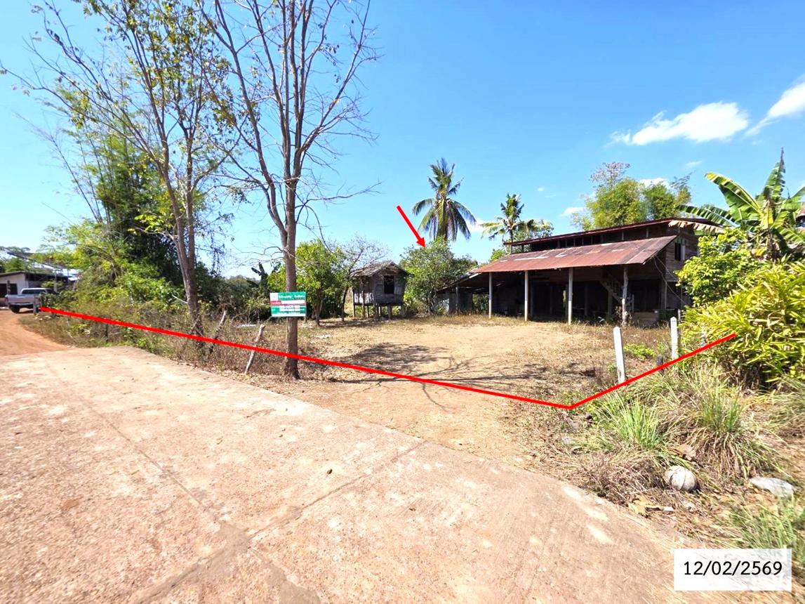 รูป บ้านเดี่ยว สำหรับขาย - หนองเทาใหญ่ ปลาปาก นครพนม - รูปที่ 13/28