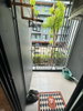 listing thumbnail image 11