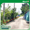 listing thumbnail image 11