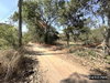 listing thumbnail image 48
