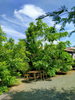 listing thumbnail image 9
